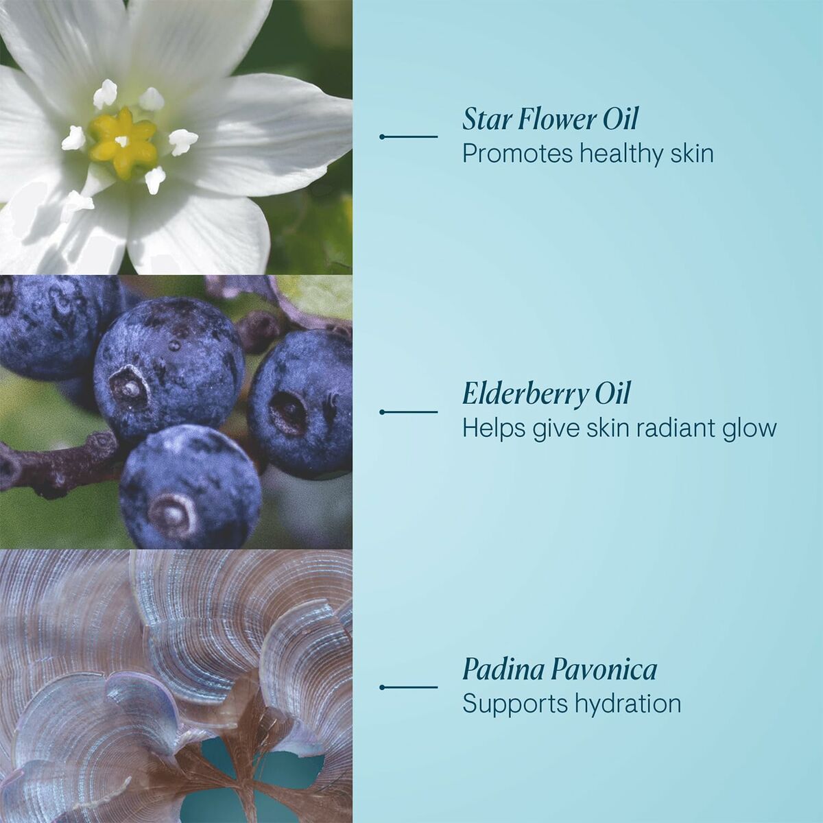 V3H56FFAFF729A080EF3C671D3D912FAE81R7072815P3