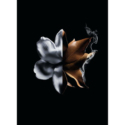 V3HA94868E4507C3D603F80BBACB150FA25R6240162P6