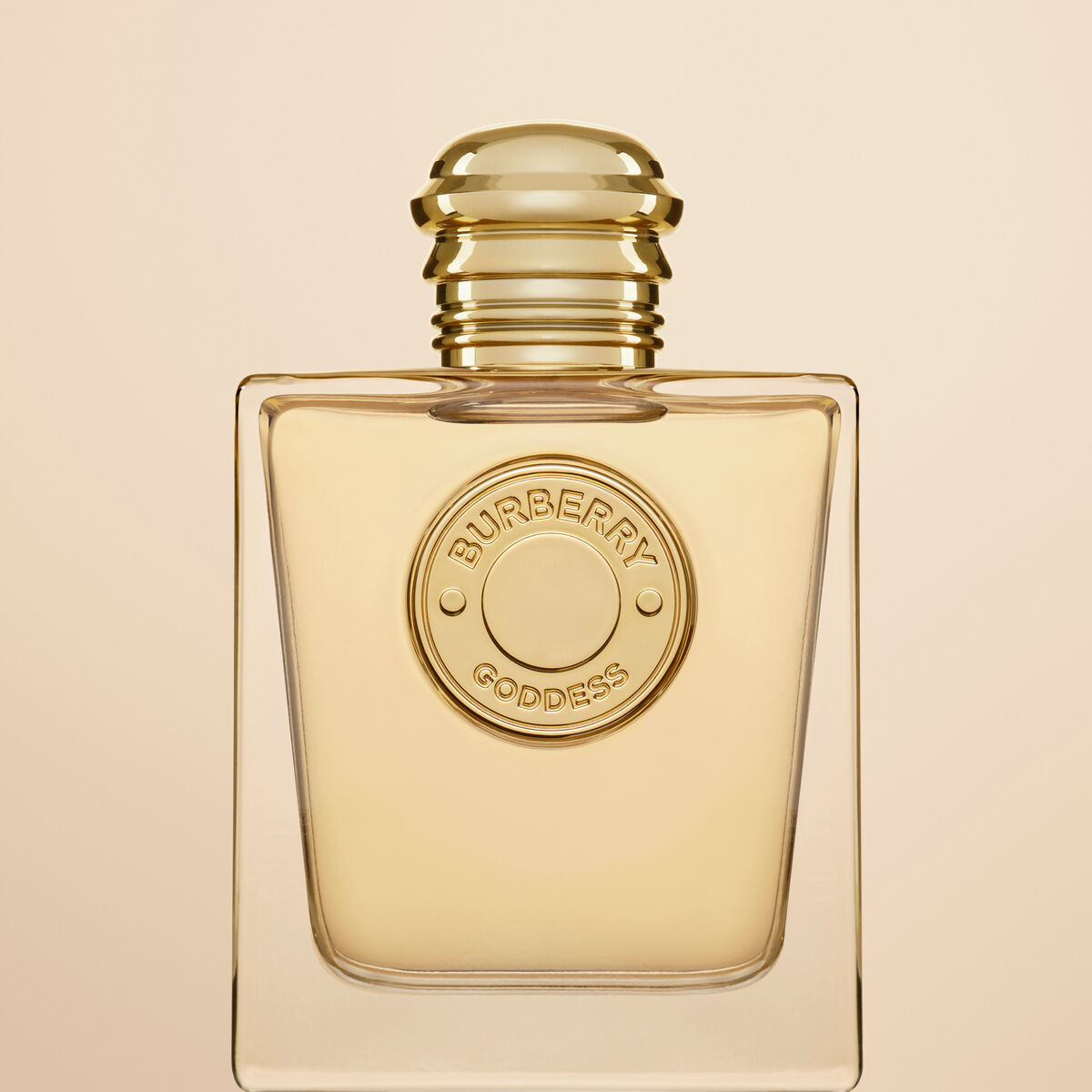 V4H56AA093315B596393A6707AC118B179AR5318353P8